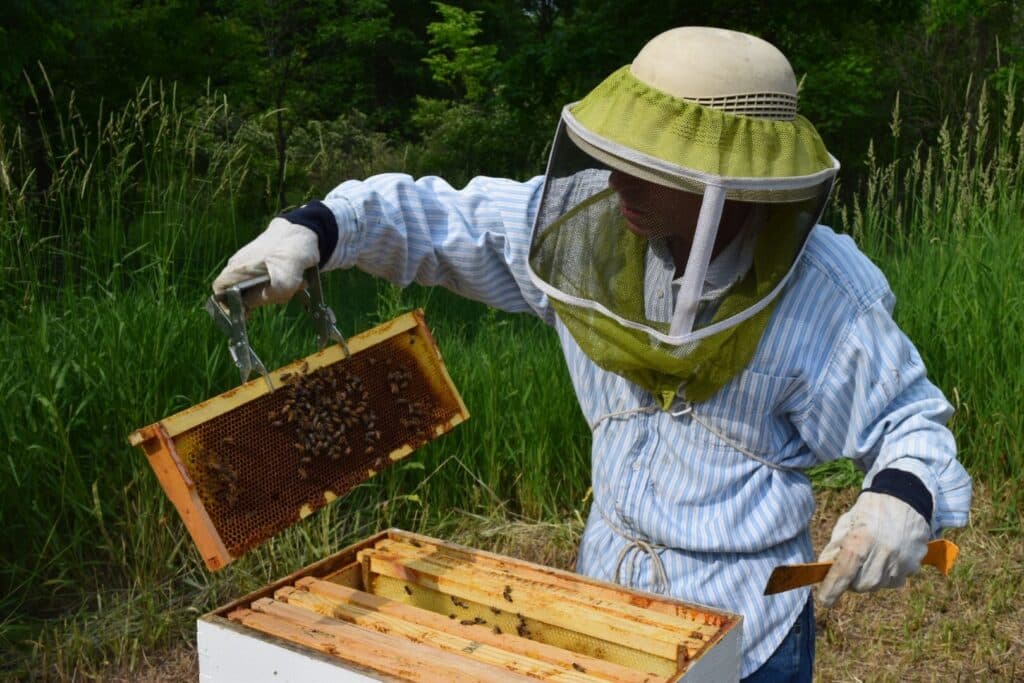 version1uuidc0ebcbc6 7fd4 4e34 bb75 6a6dd0533e49modecompatiblenoloc1 wally hopp