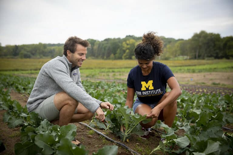 44228185624 32bafd781a c