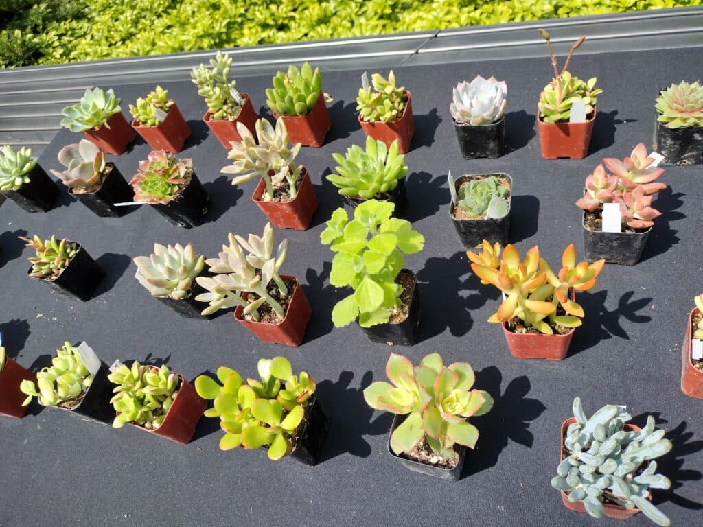 img 20240731 151003228 hdr