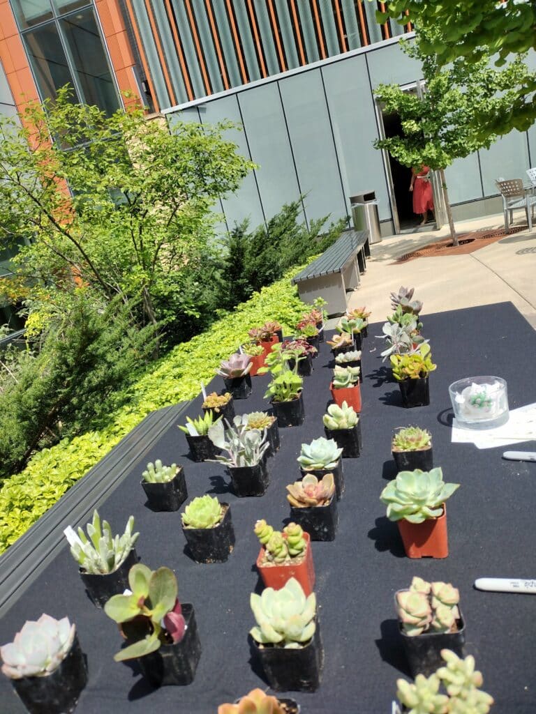 img 20240731 151014815 hdr