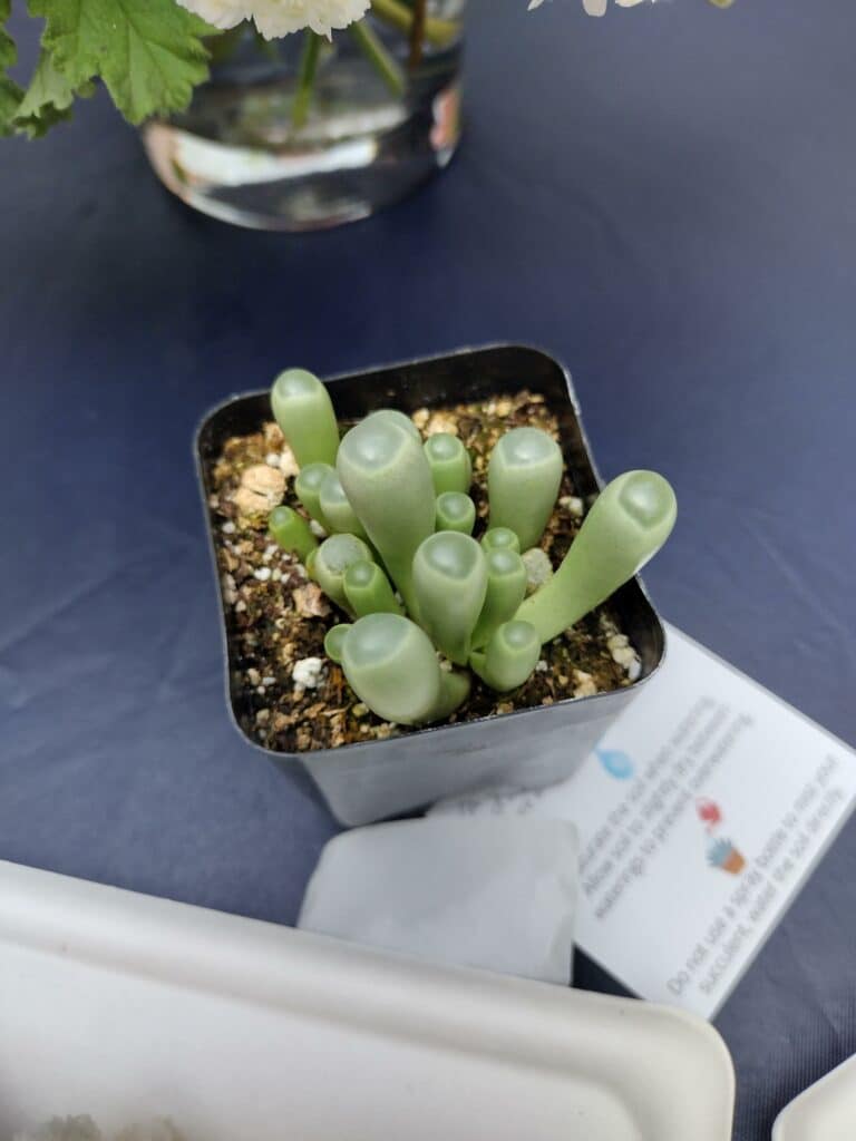 img 20240731 151437046 hdr